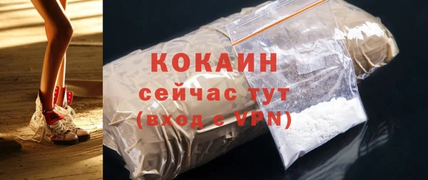 прущие грибы Белокуриха