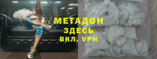 прущие грибы Белокуриха
