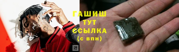 прущие грибы Белокуриха