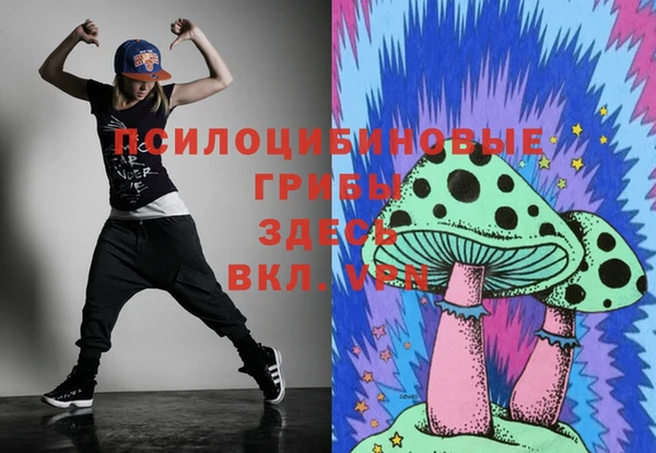 прущие грибы Белокуриха