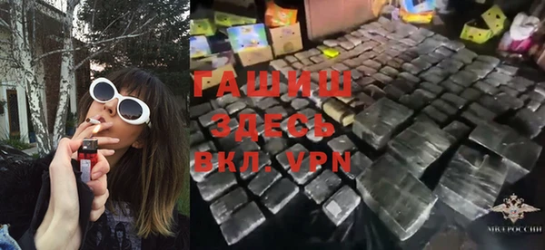 прущие грибы Белокуриха
