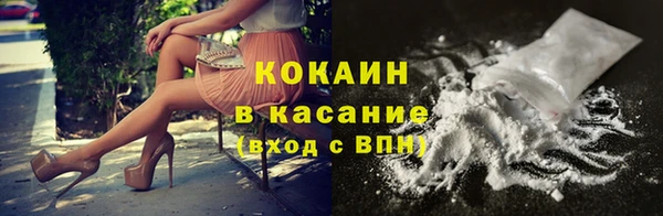 сатива Богородицк