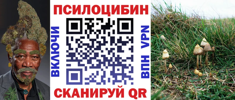 Псилоцибиновые грибы прущие грибы  Купить где  Артёмовск 